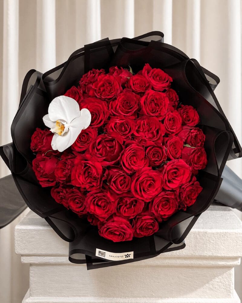 عشق و احساسات